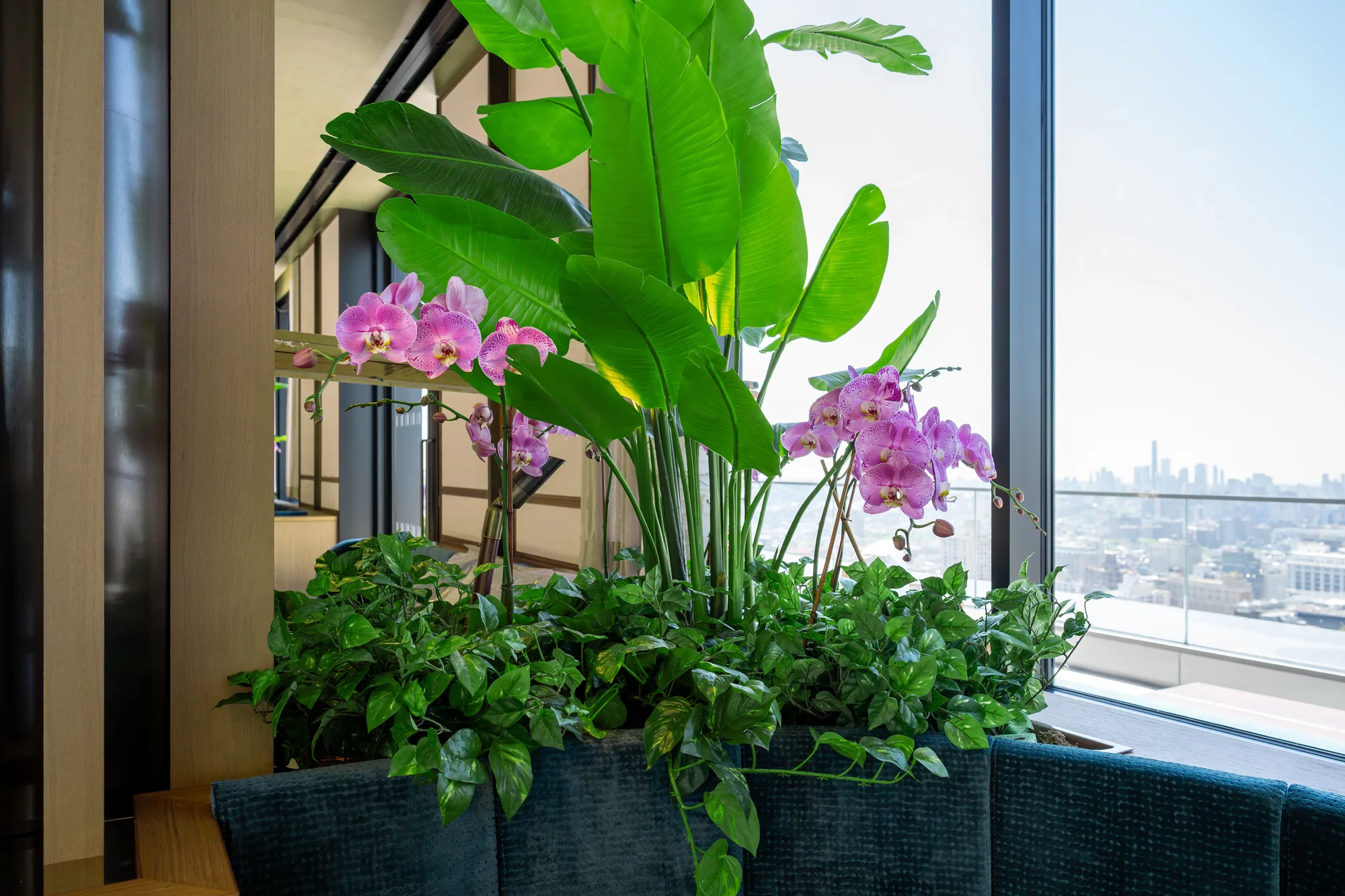 Large window planter with tall tropical leaves, pink orchids and trailing pothos above a teal upholstered bench, with a city skyline beyond the glass