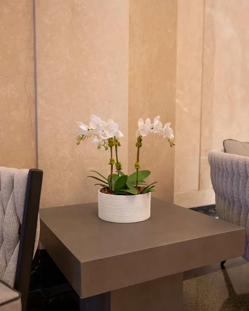 White orchids on a square table between upholstered lounge chairs